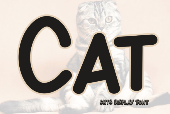 Cat Font: A Designer’s Review for Campaign Visuals and Social Media Graphics