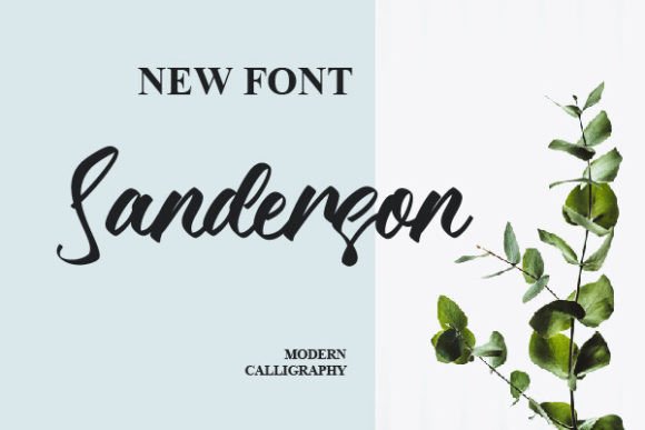 Sanderson Font: Bold Handwritten Type for Digital Campaigns