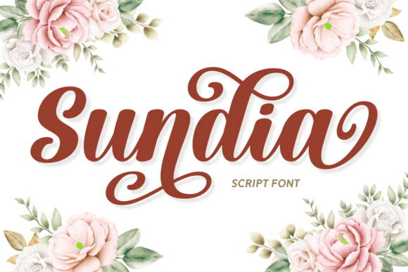 Sundia Font: Elevating Web Design with Elegant Script